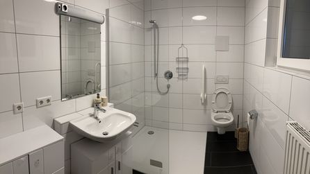 Weißes Badezimmer mit Waschbecken, Spiegel, Dusche, Haltegriff und Toilette
