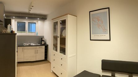 Kleine Küchenzeile mit Spüle Vitrine und gerahmtem Hummerposter