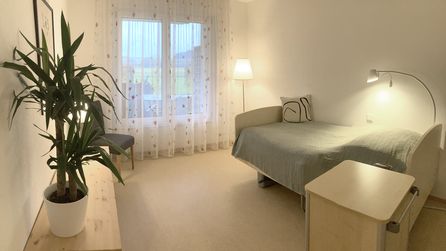 Helles Zimmer mit Einzelbett, Stehlampe, Fenster und Topfpflanze